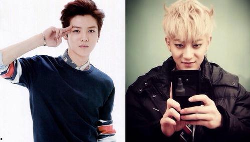 姓王明星名,璀璨星河中的闪耀星辰